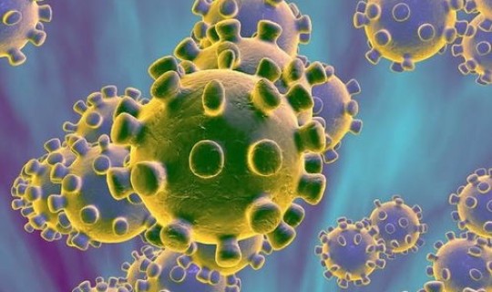 核酸检测是阳性隔离多久会好(沙眼衣原体核酸检测阳性)