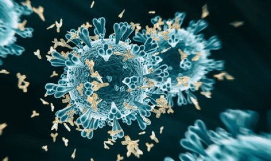 德尔塔毒株感染特征 德尔塔毒株什么症状