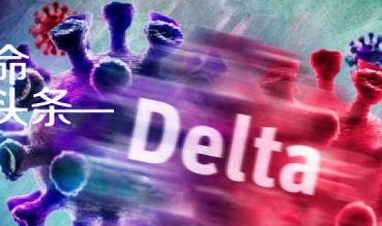 德尔塔毒株是哪类病毒，熊猫病毒是什么病毒