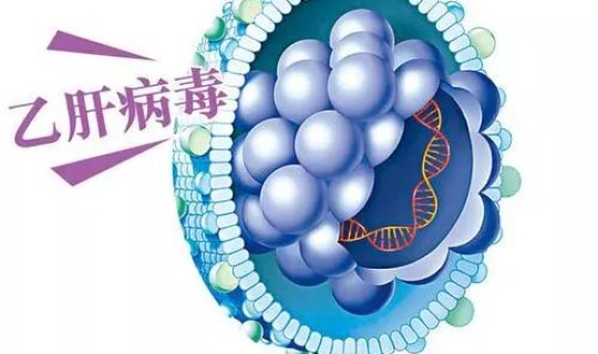 日本乙肝患者多吗，日本对乙肝病毒携带者的态度