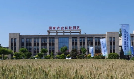 河北辛集最新，石家庄辛集