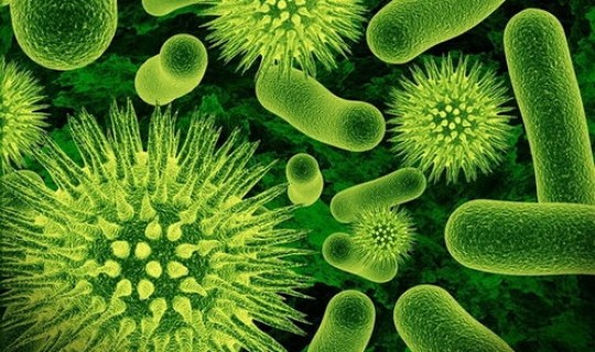 新型冠状无症状感染是什么意思 新型冠状病毒初期症状