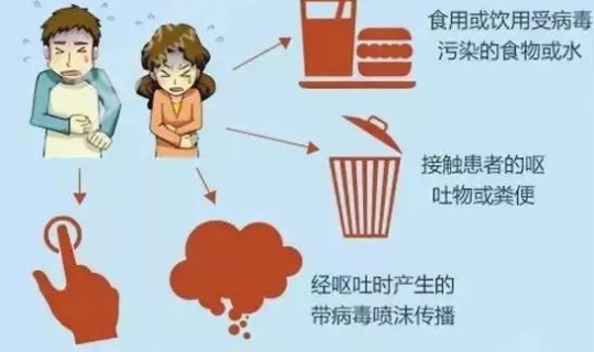 诺如病毒一般几天自愈 诺如一般几天传给家人