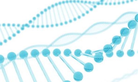 病毒传播一代二代啥意思，病毒的遗传方式