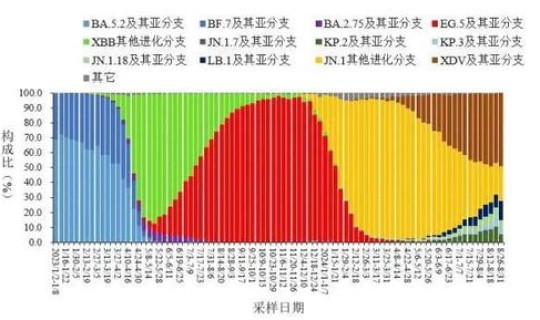 疫情2024年8月严重吗，2024年有疫情吗