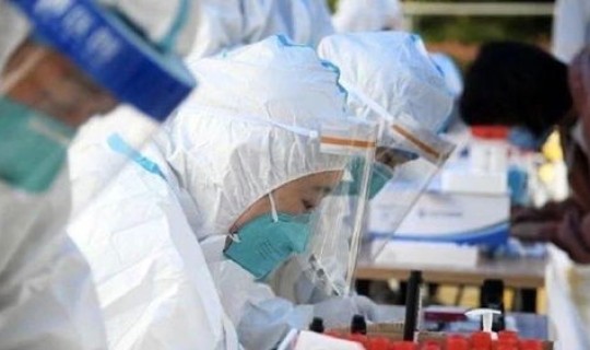 扬州 毛老太怎么出的南京 南京毛老太事件