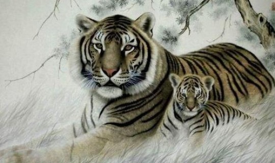 生日打一个生肖，生日属于什么生肖