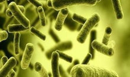 成都新病毒感染，细菌感染和病毒感染