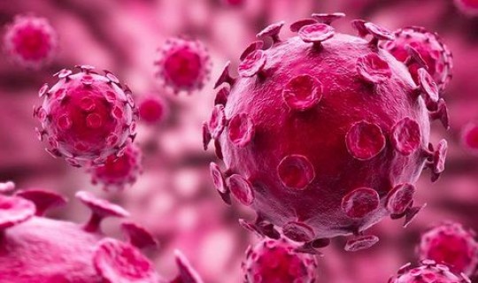 上海最新感染 最新肺炎病毒感染