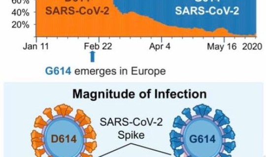 截止目前没有新冠的国家有多少 新冠病毒是哪个国家引起的