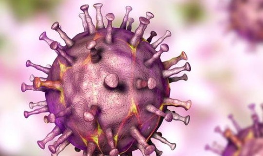 成都的病毒这么凶猛的吗!(成都最近的流行病毒)