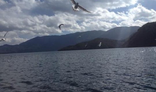 深圳 盐田 天气？深圳20度的天气穿什么衣服合适