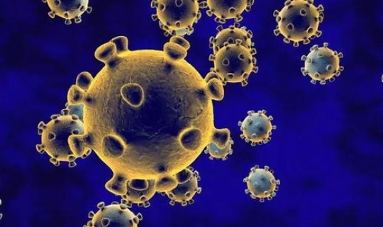 世界没有新冠疫情的国家(世界唯一没有新冠病毒的国家)