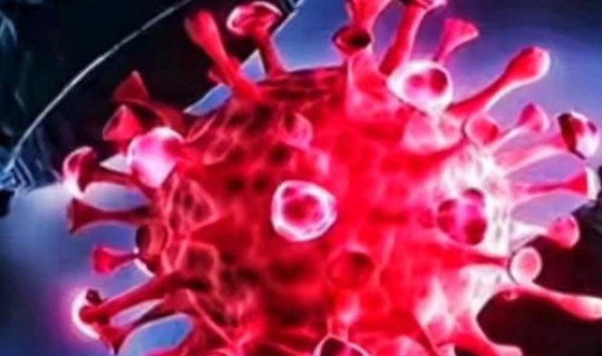 北京最近10天新冠病毒情况，新型冠状病毒有什么症状