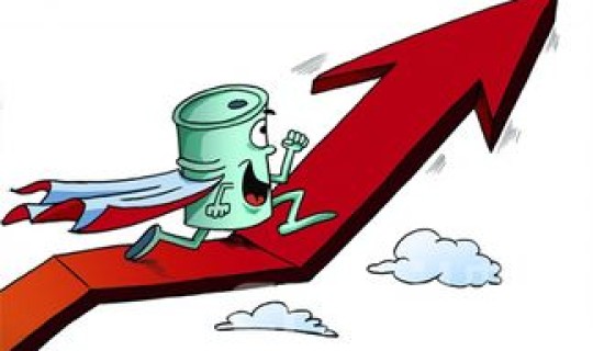 宁波油价上涨，北仑油价