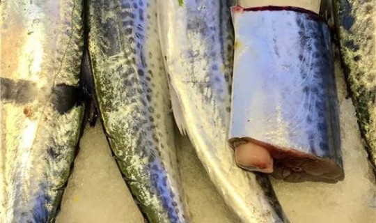 鲅鱼圈疫情具体位置(鲅鱼圈是因为鲅鱼多吗)