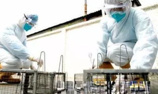 现在鼠疫死亡率 鼠疫发生过几次