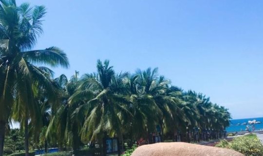 三亚一家三口玩一周要多少钱(3个人去三亚玩7天要多少钱)