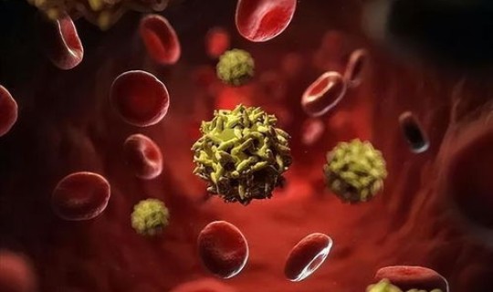 上海又有新病毒了吗？上海最近流行病毒叫什么