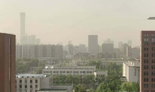 单县最新消息？河北单县