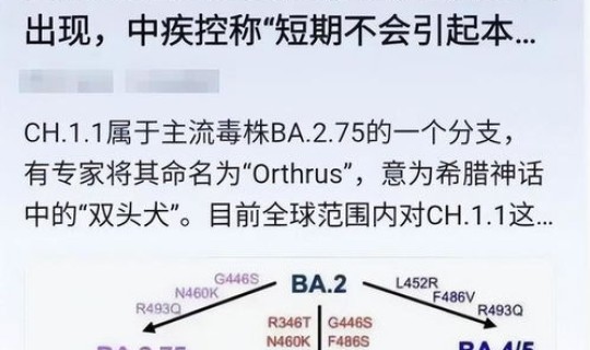 疫情2023年还有吗？新冠还有吗2025