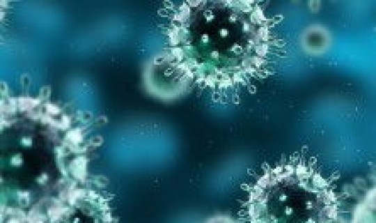 山东临沂发现新型冠状病毒了吗？新型冠状病毒怎么来的