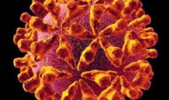 四川绵阳新冠状病毒最新疫情？冠状病毒的症状