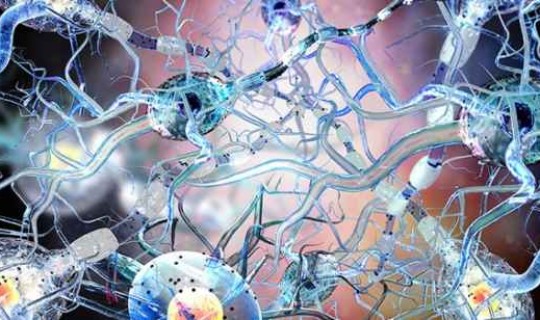 变异毒株德尔塔在物体上存活多久(德尔塔变异毒株潜伏期多久) 变异毒株德尔塔在物体上存活多久(德尔塔变异毒株潜伏期多久)