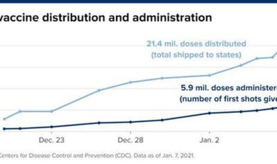 新冠死亡人数比例？每年人口出生和死亡人数