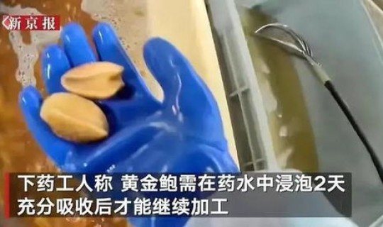 大连海产品加工急出口公司？大连海鲜怎么样