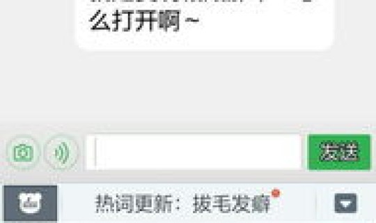 境外输入是什么意思啊 拷贝是什么意思