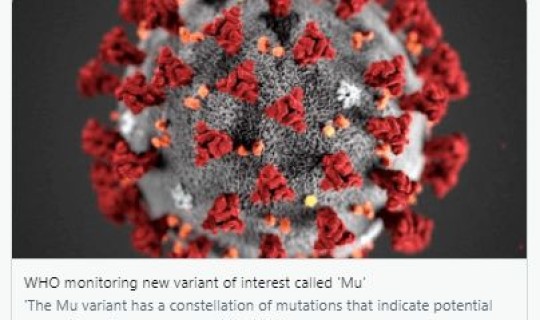 多国出现变异毒株意味着什么，变异毒株在中国