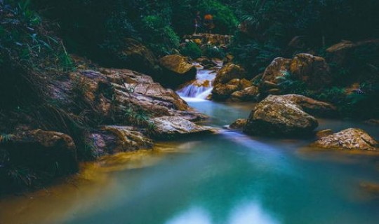 返景入深林,复照青苔上翻译 返景入深林中返景的意思是什么