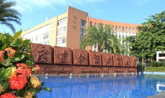 广州外国语大学代码查询(广东外语外贸大学代码)