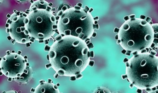 第二波新冠病毒爆发时间(冠状病毒感染怎么治疗)