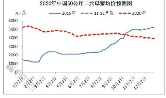 美国疫情实时状况(疫情是什么意思)