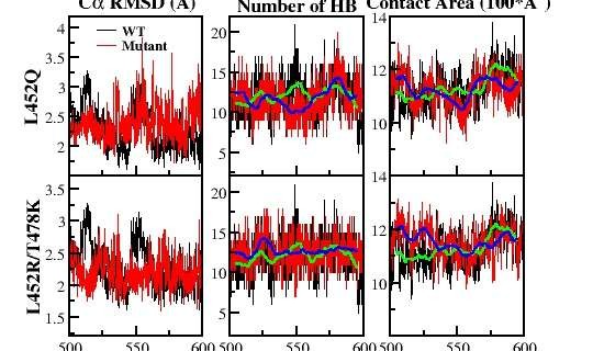 新型冠状病毒变异毒株德尔塔 冠状病毒潜伏期 新型冠状病毒变异毒株德尔塔 冠状病毒潜伏期
