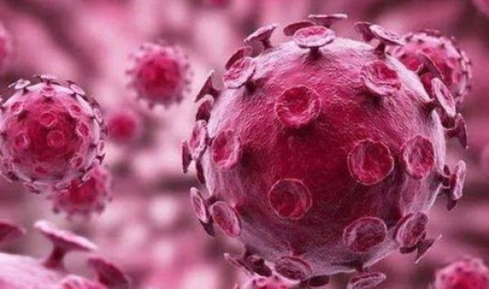 病毒变异后果是什么 病毒是怎么变异的