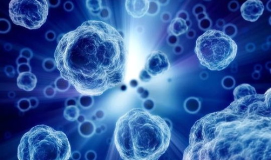 新型冠状无症状感染有哪些症状(新型冠状病毒肺炎的症状有哪些)