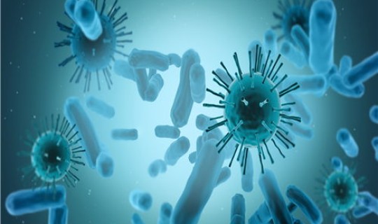 北京生物能防德尔塔病毒吗(病毒是原核生物吗)