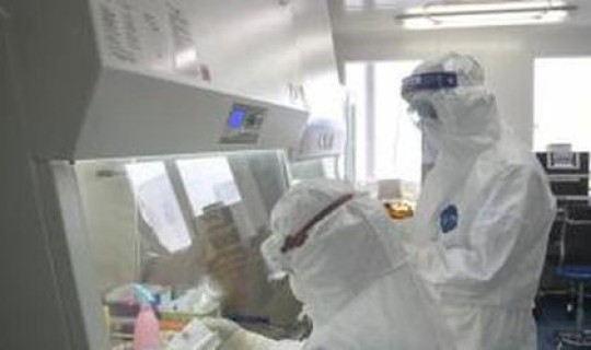 河北新增确诊40例无症状26例?河北确诊病例最新消息 河北新增确诊40例无症状26例?河北确诊病例最新消息