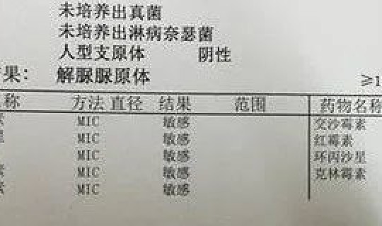 600多人阳性？人型支原体阳性是什么病