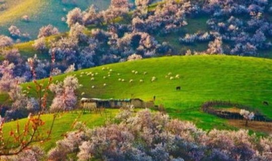 新疆伊犁疫情封多久(伊犁9月疫情管制最新消息)