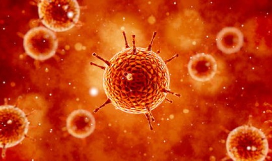 最新病毒疫情通报今天	，最近什么病毒这么厉害