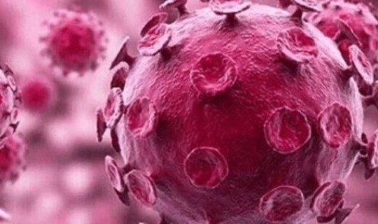 感染新冠死了多少人(感染冠状病毒多久发病)