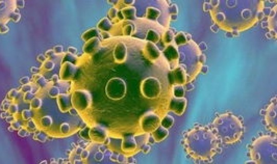 新冠状病毒到哪里了？还有新冠病毒吗