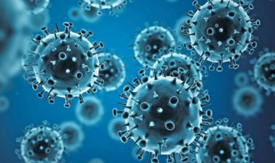 新冠病毒到底是从哪里来的知乎，新冠病毒是哪里来的来源