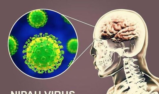 全球疫情最新消息 印度尼帕病毒最新消息