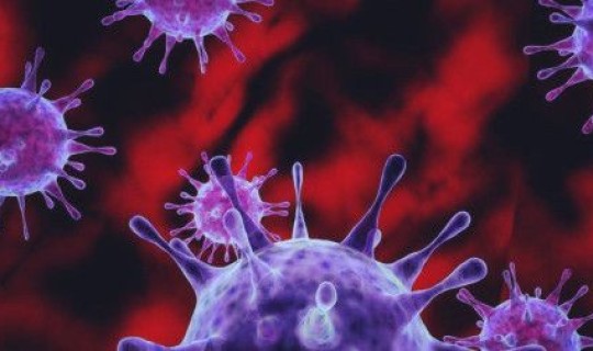 张文宏谈变异病毒(诺如病毒) 张文宏谈变异病毒(诺如病毒)