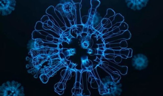 新冠病毒 北京？北京新一轮病毒